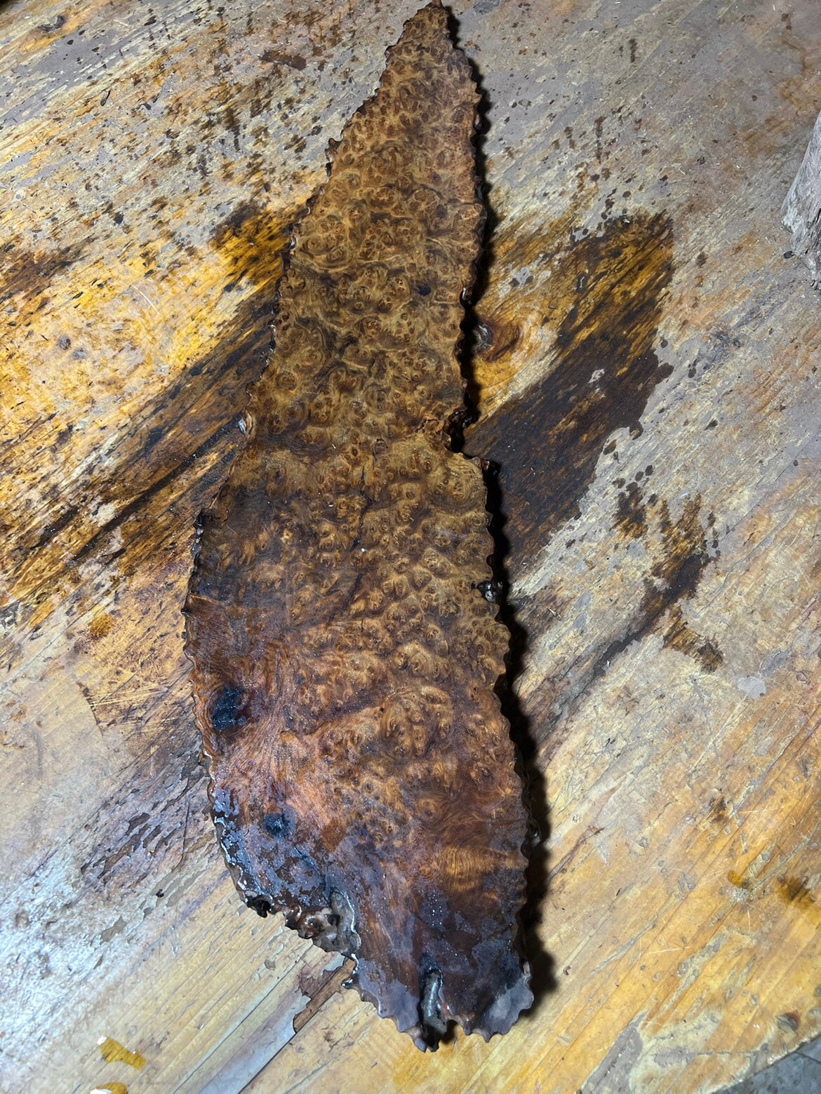 缅甸花梨瘿木