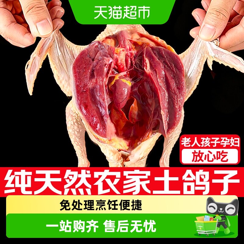 卖鱼郎先生乳鸽山林散养鲜嫩图片