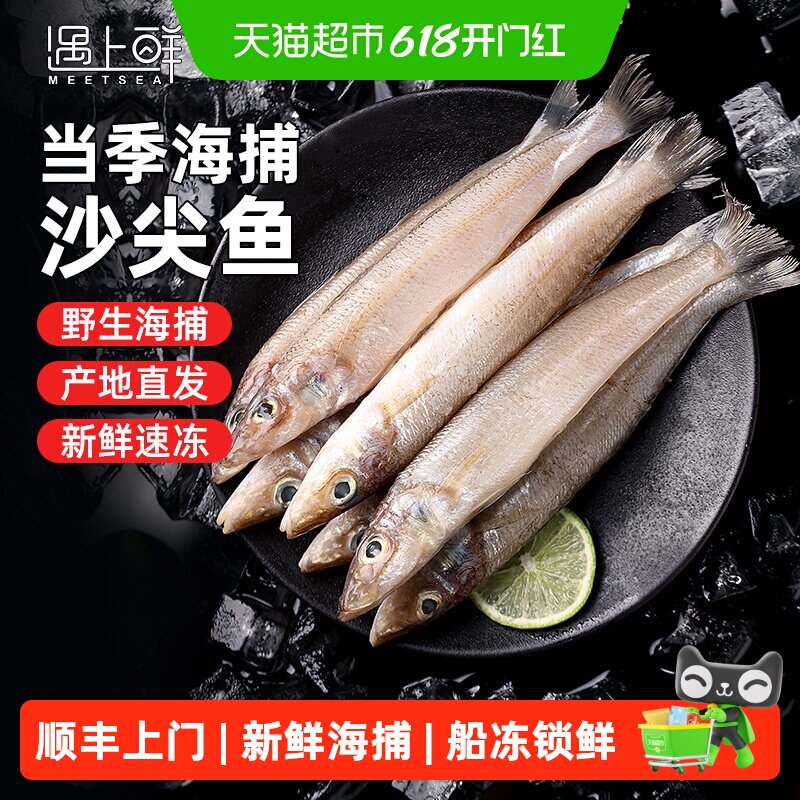 舟山大号沙尖鱼新鲜尖梭鱼深海捕鱼鲜活冷冻海鱼沙丁鱼海鲜水产