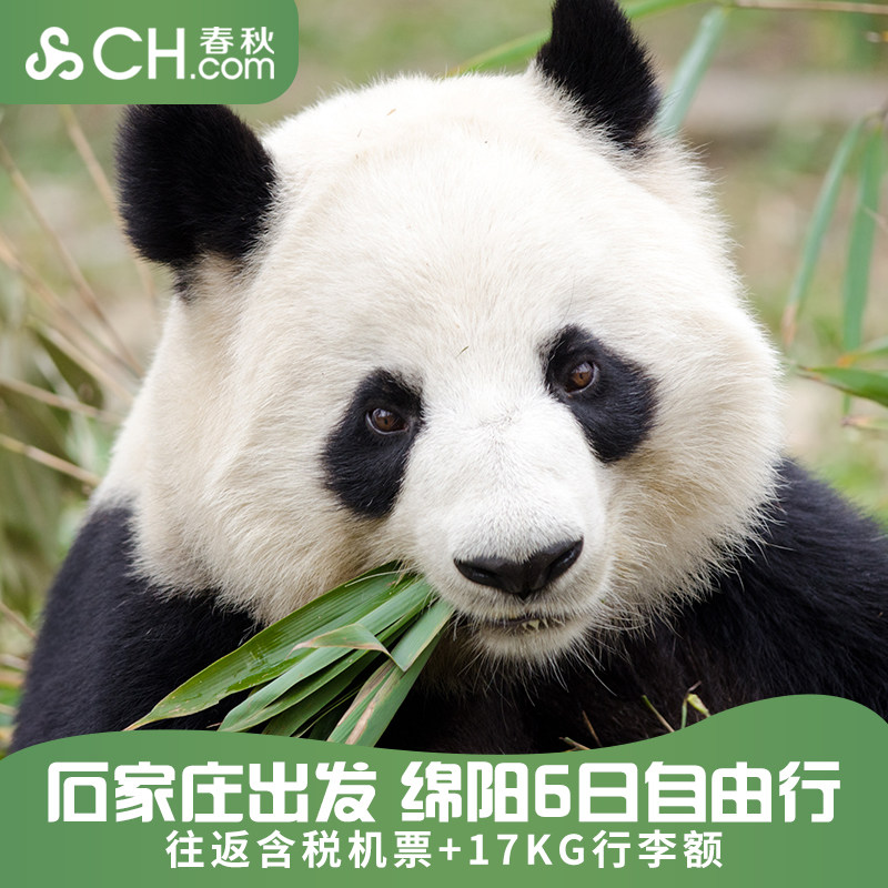 绵阳机票