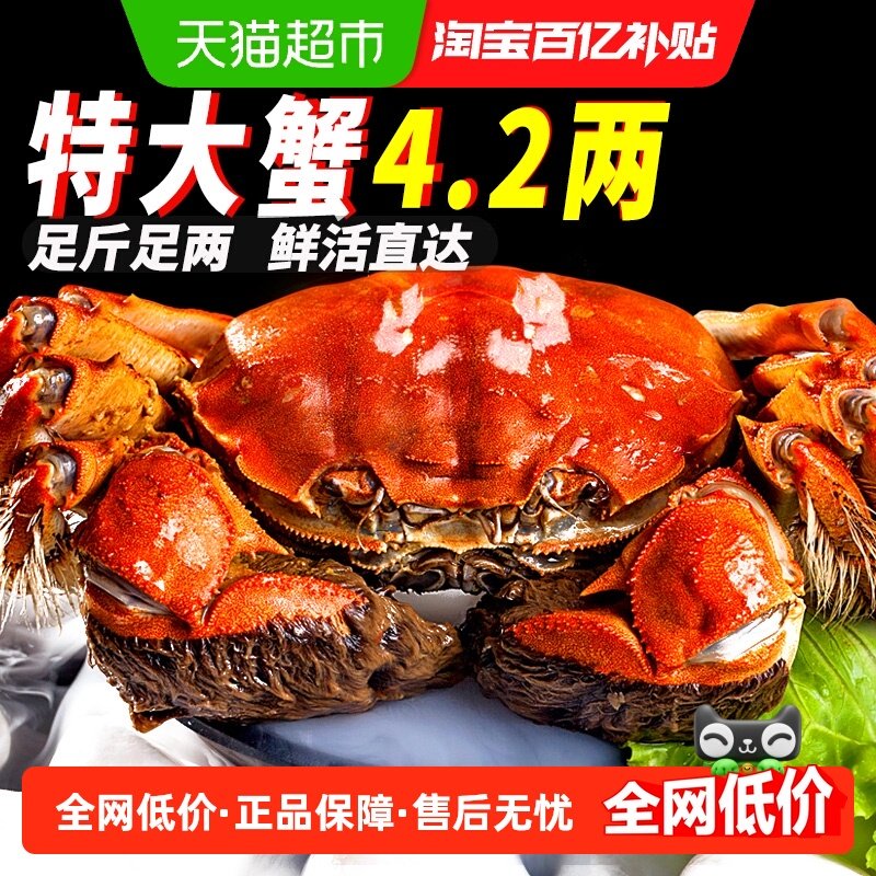 I活蟹I仲秋大闸蟹鲜活现货全母公螃蟹礼盒湖鲜河蟹去绳净重,水产肉类/新鲜蔬果/熟食,大闸蟹,淘宝优惠券,粉丝福利购,淘宝优惠卷