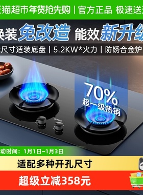 SUPOR/苏泊尔MB17S燃气灶煤气灶双灶家用嵌入台式炉灶天然液化气
