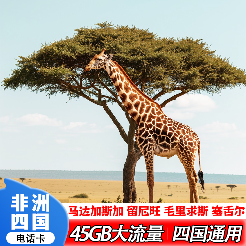 马达加斯加电话卡