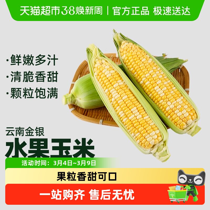 新鲜玉米云南金银水果玉米甜玉米棒子包谷新鲜蔬菜 - 天猫超市出品