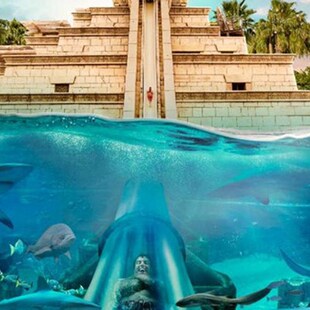 [亚特兰蒂斯水世界-水世界(全日票)+C秀演出票]水世界+c秀