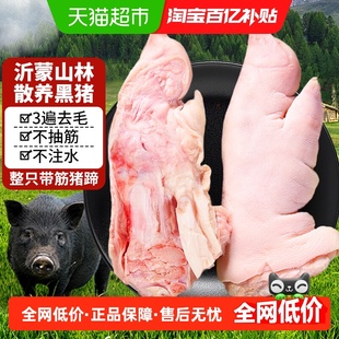 云储生活黑猪猪蹄生鲜猪脚带筋整只蹄子前蹄新鲜现杀沂蒙散养猪手