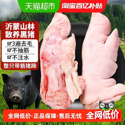 云储生活猪蹄生鲜整只带筋散养