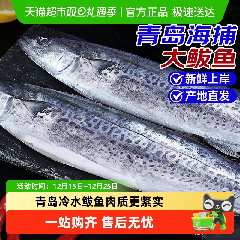 海仙部落鲅鱼新鲜海捕鲐鲅鱼冷冻海鲜水产批发深海马鲛鱼青岛