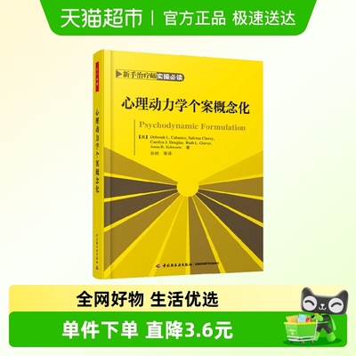 心理动力学个案概念化
