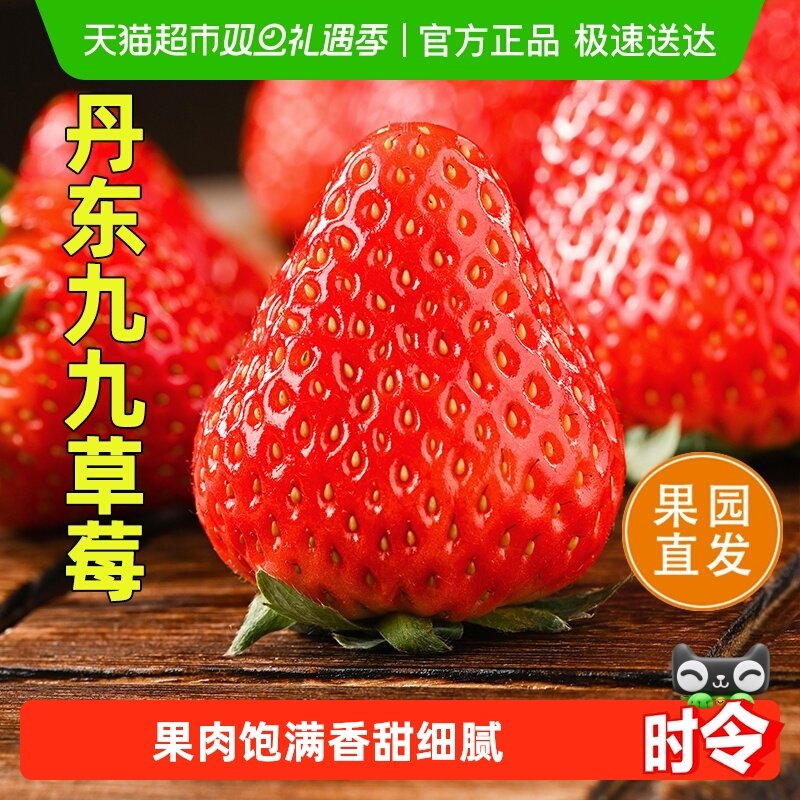 末浅丹东红颜99大草莓