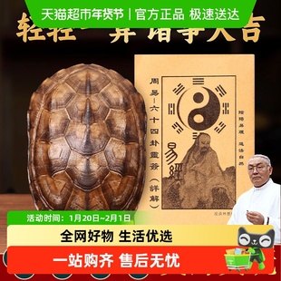 天然真品乌龟壳摆件文玩六爻起卦六十四卦摇卦工具乾隆铜钱手把件