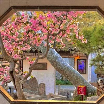 苏州4大园林/拙政园/狮子林/虎丘/留园/沧浪亭2天1晚私家团