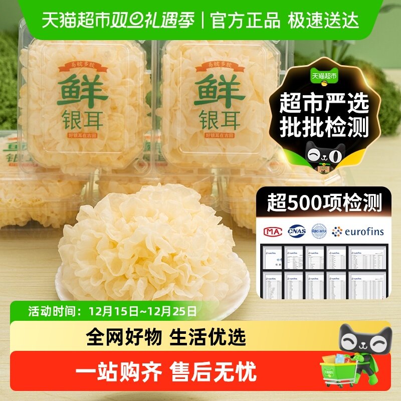 【超市严选】古田新鲜银耳雪耳活鲜白木耳糯耳丑耳软糯多胶非干货