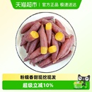 薯小萌天目山小香薯新鲜现挖皮薄粉糯香甜精选小果蒸煮用黄心番薯