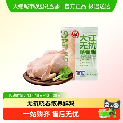 大江无抗原切晓春鸡