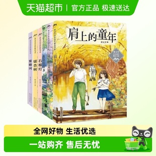 曹文芳水乡童年精品书系肩上 父亲小学课外书 童年紫糖河我们