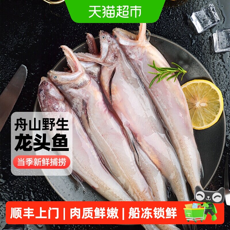顺丰上门遇上鲜舟山龙头鱼新鲜冻豆腐鱼九肚鱼水潺鱼水产生鲜辅食