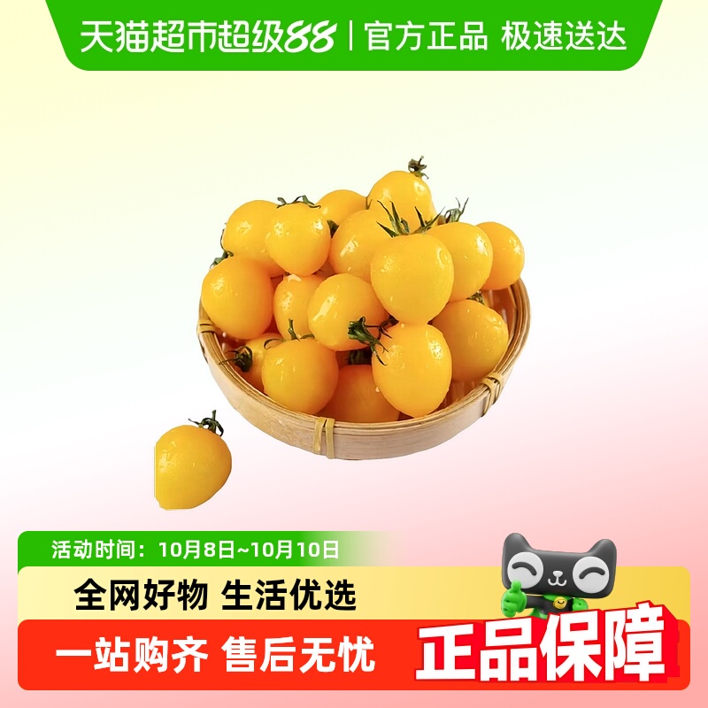 顺丰发货黄色小番茄小柿子新鲜樱桃水果西红柿蔬菜黄金圣女果