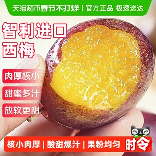 正宗智利进口西梅鲜果当季新鲜水果李子法兰西西梅孕妇整箱