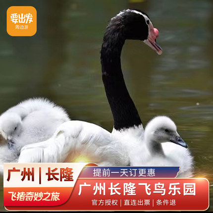 [广州长隆飞鸟乐园-1日门票（中高考生特惠）]长隆飞鸟乐园门票 一票通玩