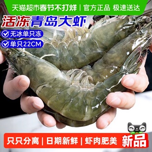 虾鲜活速冻特大虾青岛基围虾年货冷冻鲜王牌盐冻海虾2030海鲜水产