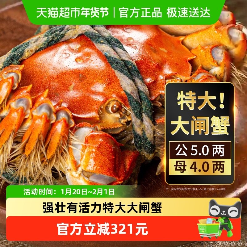 湖东蟹苏州大闸蟹鲜活螃蟹现货礼盒公4.7-5.0母3.7-4.0两*8只装,水产肉类/新鲜蔬果/熟食,大闸蟹,淘宝优惠券,粉丝福利购,淘宝优惠卷