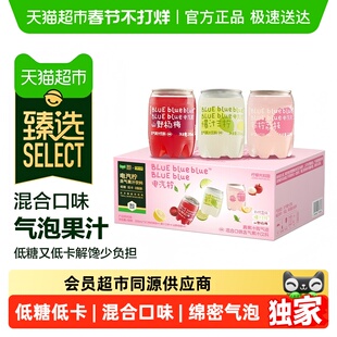 臻选柠檬共和国气泡果汁低糖低卡聚餐送礼混合口味礼盒装