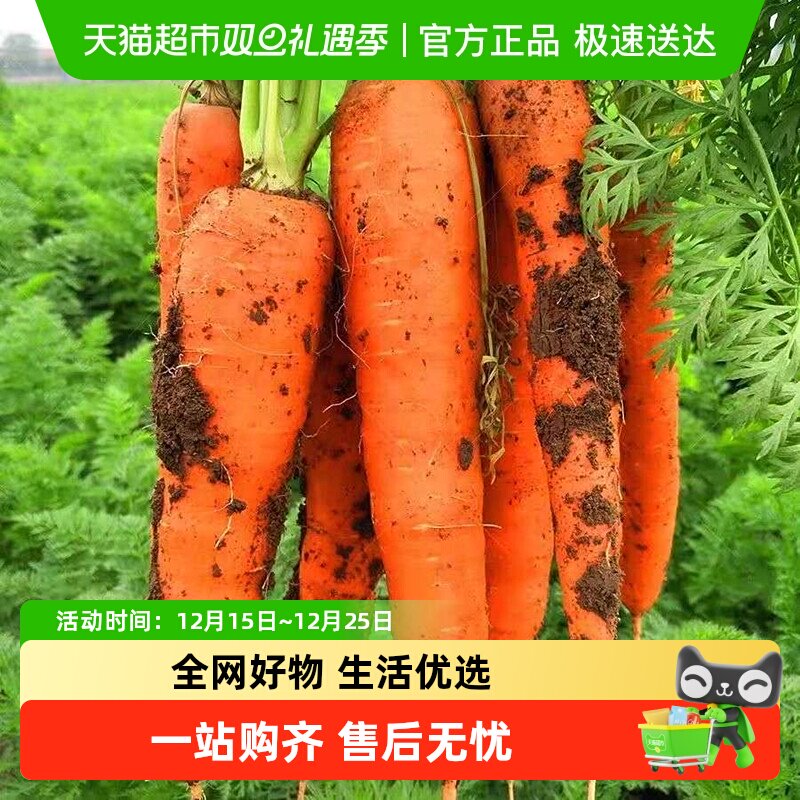 胡萝卜新鲜胡萝卜沙土地蔬菜水果现挖现发农家自种带泥即食