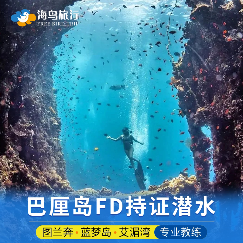 巴厘岛FD深潜图兰奔蓝梦岛艾湄湾OW AOW有证专业潜水中文讲解