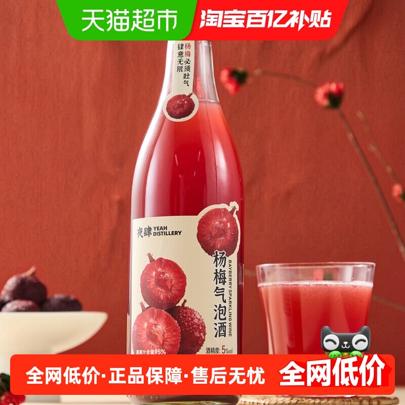 新品上市夜肆杨梅气泡酒低度酒微醺480ml