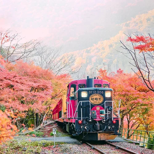 [岚山嵯峨野观光小火车-嵯峨、岚山-龟冈单程小火车]日本京都 岚山嵯峨野观光小火车 嵯峨-龟冈单程小火