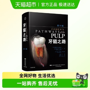 处理口腔科学牙科 牙髓根管治疗并发症 牙髓之路第11版 第十一版