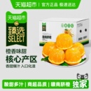 鲜橙甜脐橙新鲜采摘多汁时令水果 商超江西赣南脐橙应季 臻选