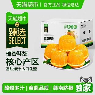 鲜橙甜脐橙新鲜采摘多汁时令水果 商超江西赣南脐橙应季 臻选