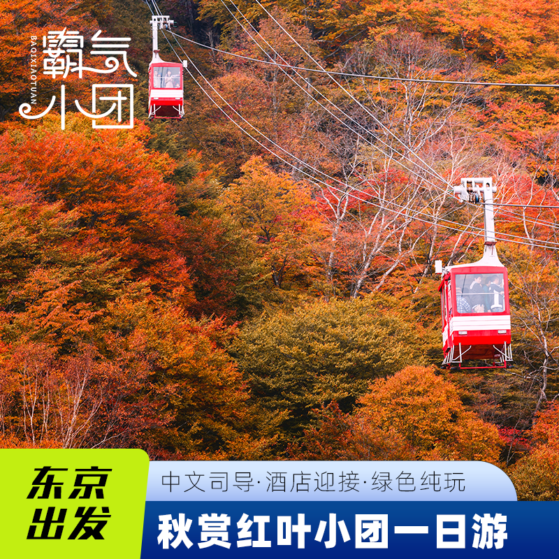 赏枫9人团丨日本东京轻井泽日光一日游东照宫云场池中禅寺湖接送