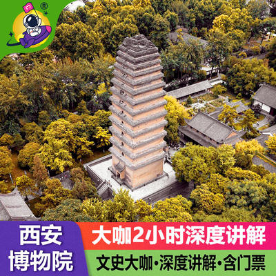 大咖讲解西安博物院+小雁塔一日游2小时深度讲解含门票