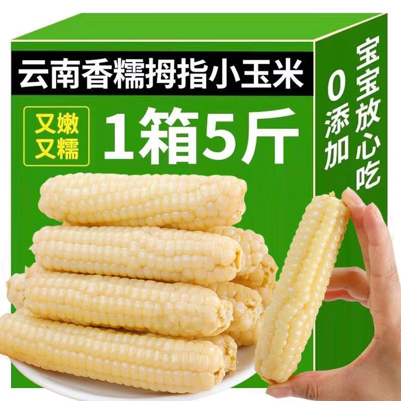 滇食部落拇指玉米西双版纳香糯包谷棒早餐粗粮真空袋装500g非即食