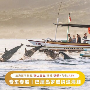专车专船｜印尼巴厘岛罗威纳追海豚一日游包车游浮潜海钓乌布ATV