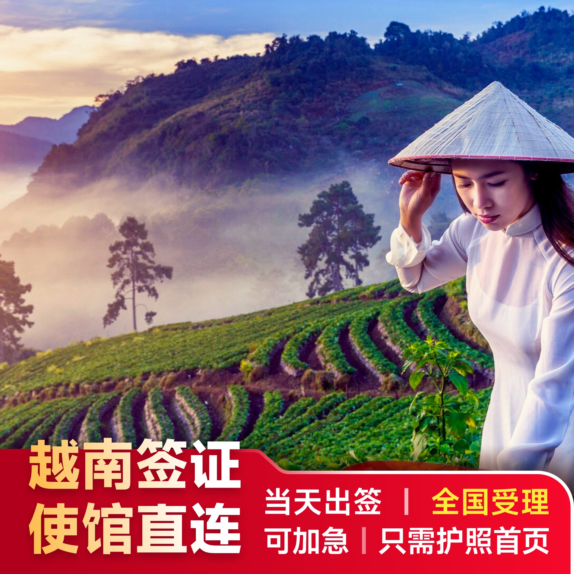 越南落地签证批文移民局网站