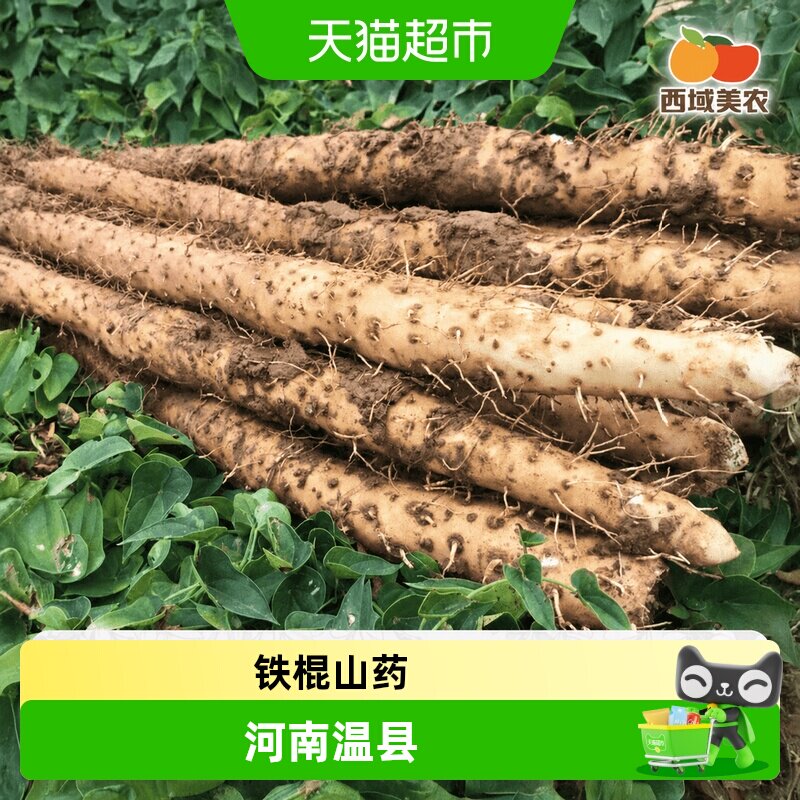 西域美农温县垆土铁棍山药河南焦作新鲜山药特产粉糯礼盒