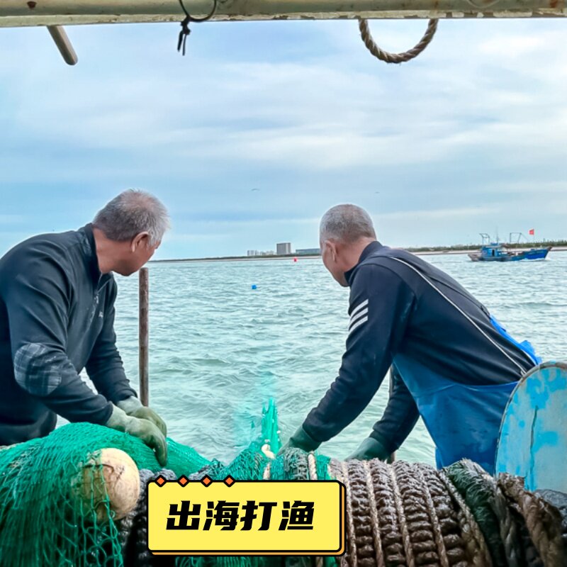 出海打渔