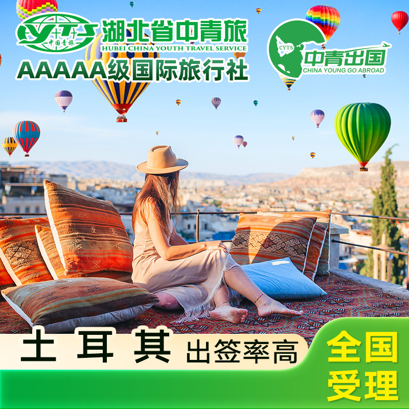 土耳其·过境签证·移民局网站·旅行出国极简个人旅游商务签注电子签