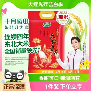 10斤真空 十月稻田金鱼长粒香大米5kg东北粳米香米一年一季