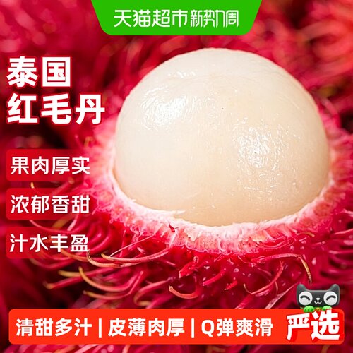 寻天果蔬保亭红毛丹现摘现发