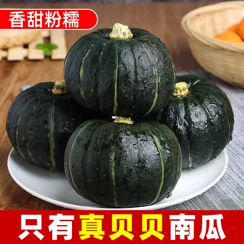 正宗贝贝南瓜新鲜板栗味宝宝辅食南瓜迷你小南瓜粉糯香面好吃