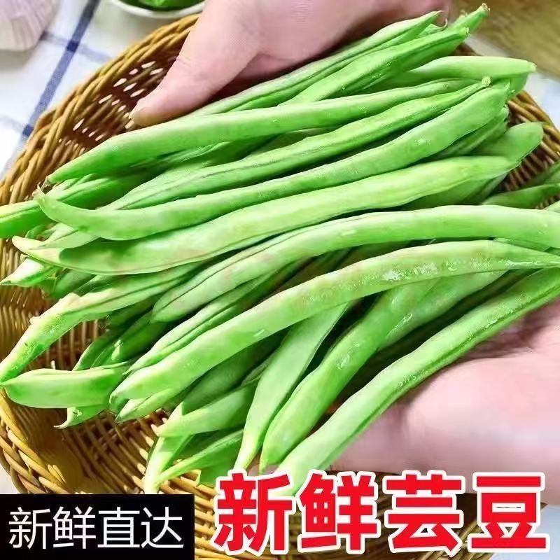 云南新鲜现摘云南四季豆豆角刀豆青豆当时令季蔬菜批发整箱,水产肉类/新鲜蔬果/熟食,新鲜豆类,淘宝优惠券,粉丝福利购,淘宝优惠卷