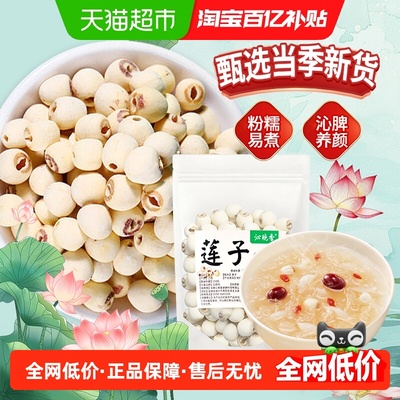 沁晚香磨皮莲子去芯大颗新鲜干货