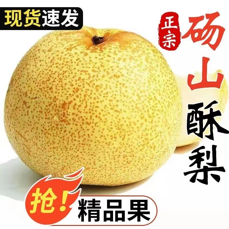 正宗安徽酥梨梨子梨膏烤梨当季现摘5斤新鲜水果