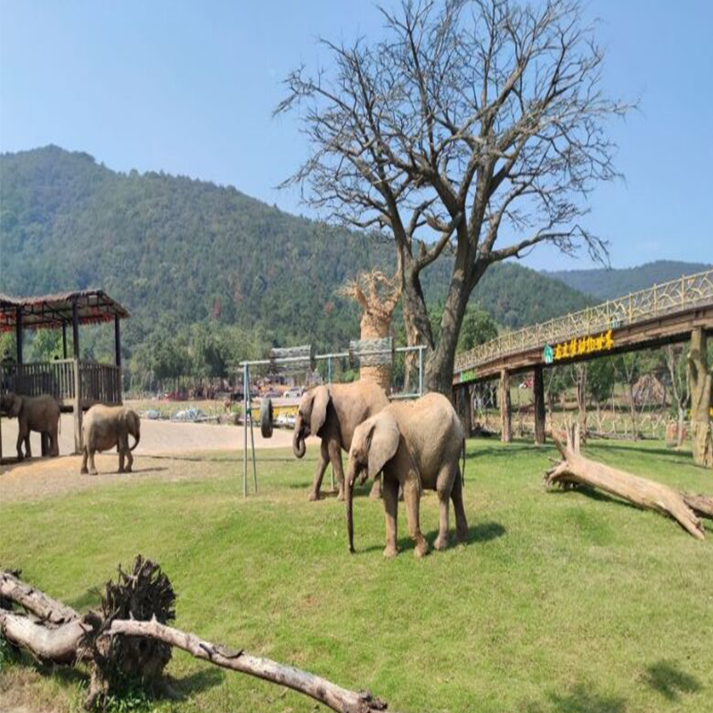 太湖龙之梦瑞峰国际酒店住宿含双早 大马戏/动物园/滑雪门票亲子