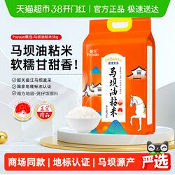 舶元马坝油粘米5kg广东特产丝苗米软糯弹牙煲仔饭用籼米地标认证